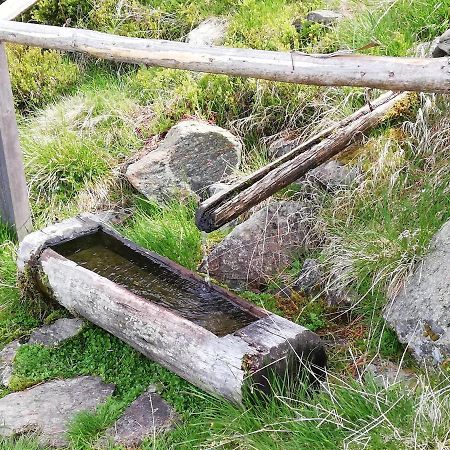 Apart Waldesruh Arzl im Pitztal Ngoại thất bức ảnh