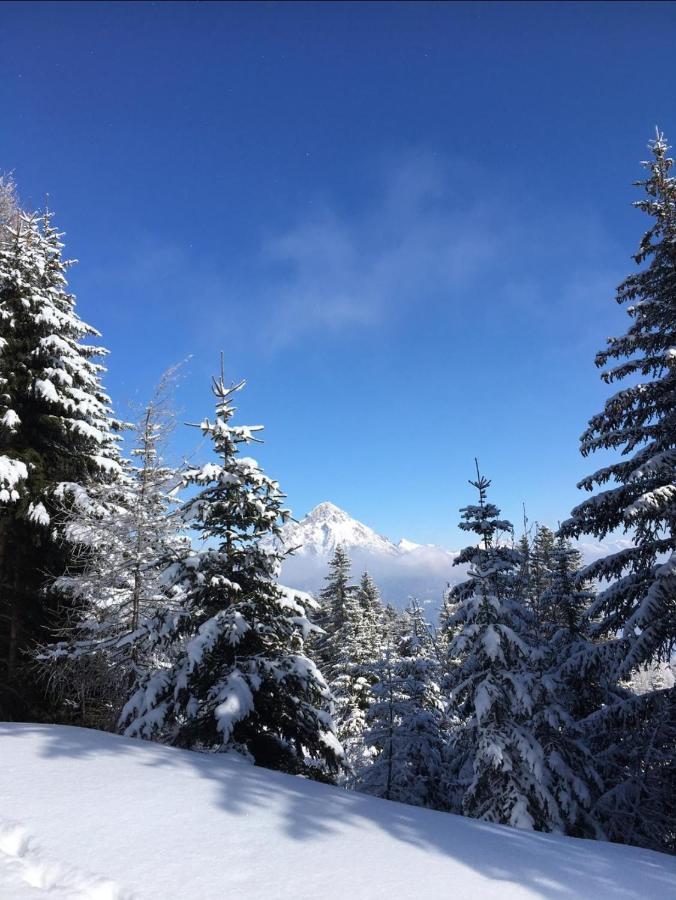 Apart Waldesruh Arzl im Pitztal Ngoại thất bức ảnh