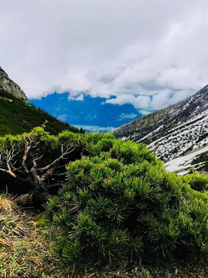 Apart Waldesruh Arzl im Pitztal Ngoại thất bức ảnh