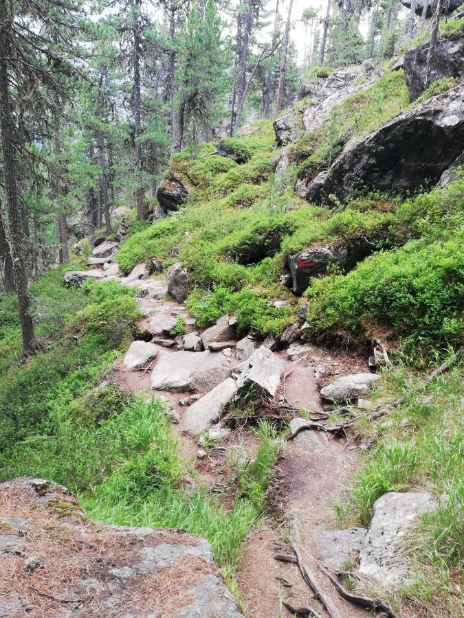 Apart Waldesruh Arzl im Pitztal Ngoại thất bức ảnh